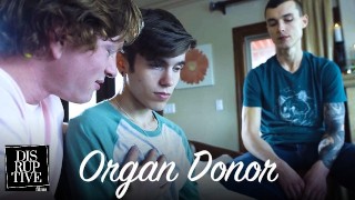 Twink’s Gay Awakening: A Heart Transplant Changes Everything