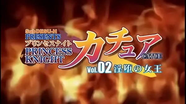 Princess Knight Catue 2