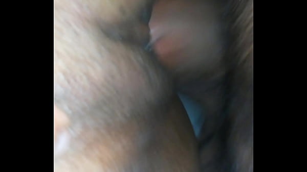 Chorito insaciable chilena