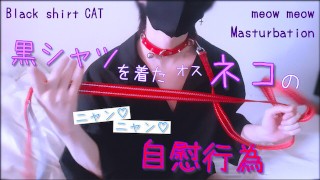 黒シャツを着たオスネコのニャン♡ニャン♡自慰行為 首輪 リード 色白 細身 素人 個人撮影 自撮り 鎖骨 オナニー フェチ 可愛い コスプレ 女性向け ゲイ バイセクシャル