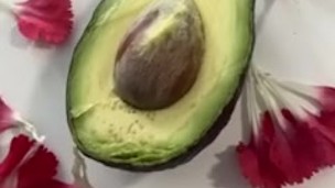 Sexy Seed