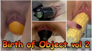 Breeded by Objects: Twisted Back-and-Forth Vol 2 – A Darker Descent